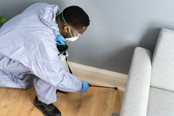 Best Commercial Pest Control  in Mount Vernon, GA